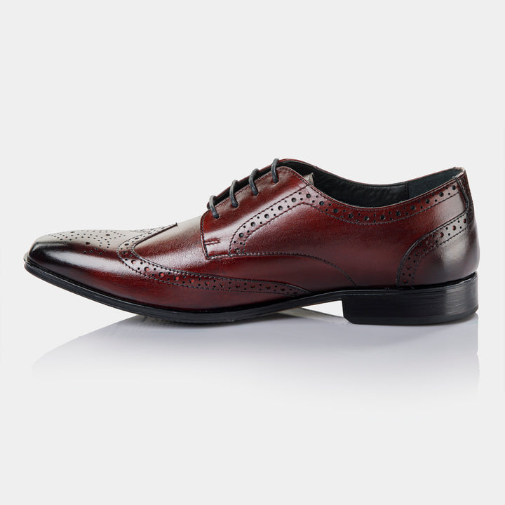 TIMBER - Brogue in Oxblood