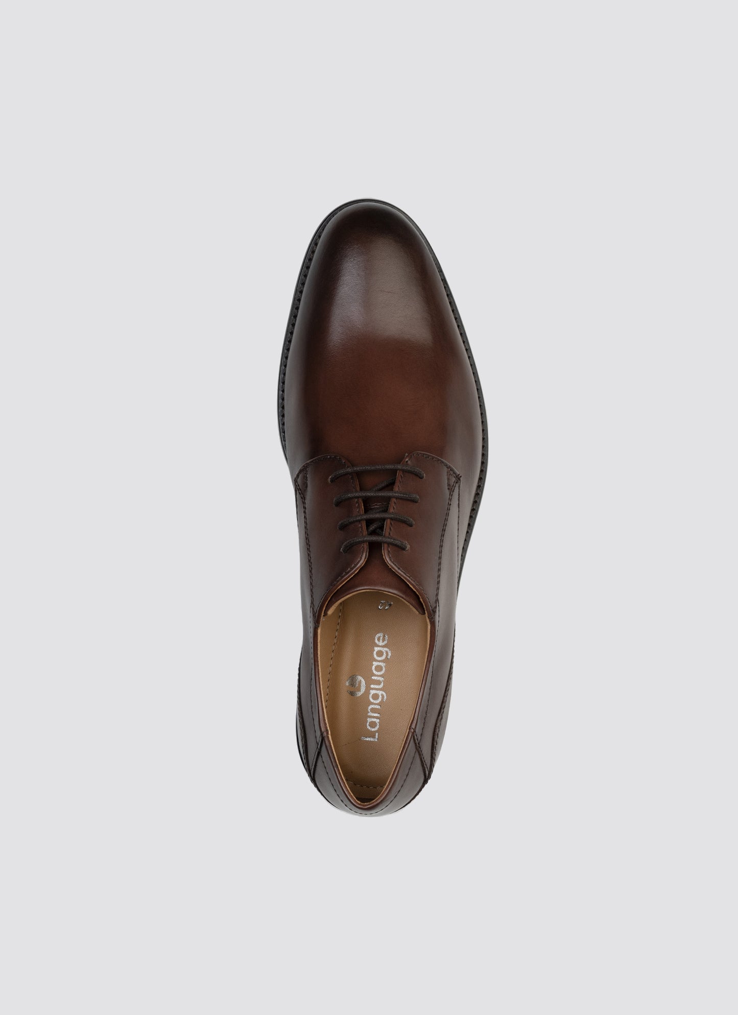 Language Rim Lace-ups Shoes - Brown