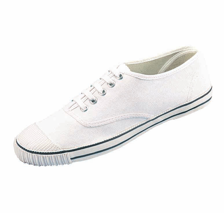 CANVAS School Shoes